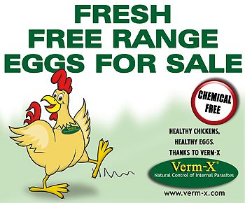 Eggs For Sale Sign Download